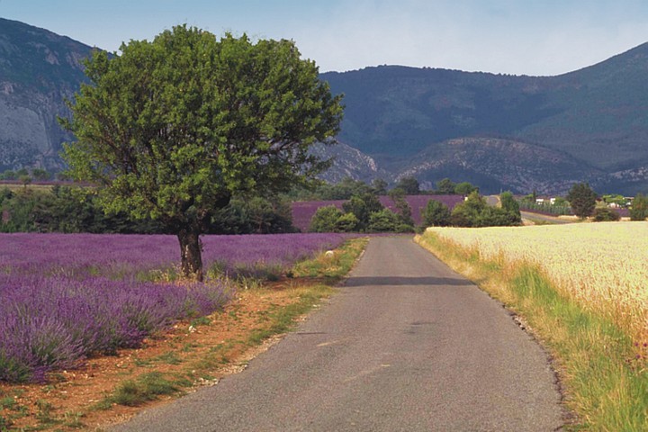 8 jours Provence: circuit avec séjour dans de charmants 'mas' 